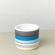 Polychrome Cylinder Pot - 5.5 Inch Online