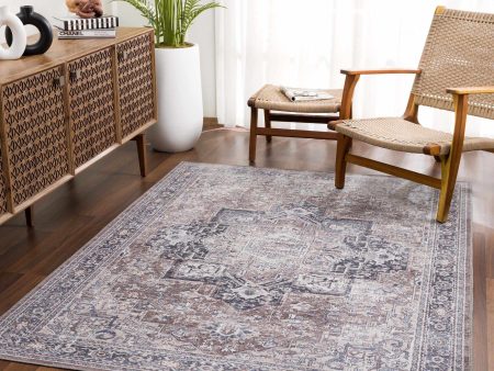 Boutique Rugs - Abner Washable Area Rug Online