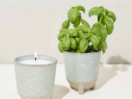 Glow and Grow - Herb Garden Discount