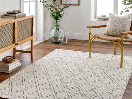 Boutique Rugs - Aeron Wool Area Rug Online Hot Sale