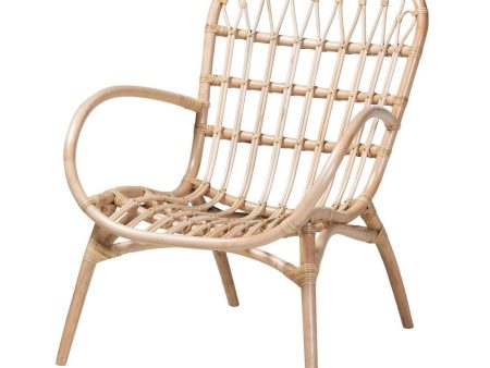 bali & pari Bajo Modern Bohemian Natural Brown Rattan Arm Chair Online Sale