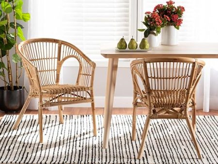 bali & pari Alleta Modern Bohemian Natural Brown Rattan 2-Piece Dining Chair Set Hot on Sale