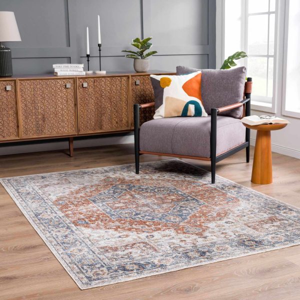 Boutique Rugs - Akram Gray & Orange Washable Area Rug Cheap