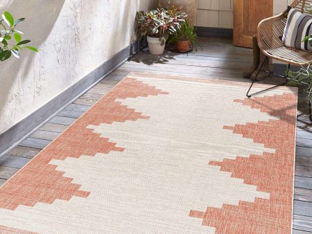 Boutique Rugs - Djugun Peach Fuzz Indoor & Outdoor Rug Online now