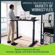 TechOrbits Electric Standing Desk Frame 60 x 24 Inch Tabletop - Motorized Workstation Two Leg Stand Up Desk with Memory Settings and Telescopic Sit Stand Height Adjustment (Black Frame Black Top) Supply