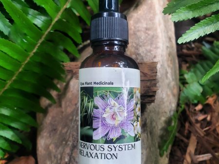 Nervous System Relaxation Online Hot Sale