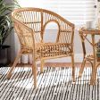 bali & pari Alleta Modern Bohemian Natural Brown Rattan 2-Piece Dining Chair Set Hot on Sale