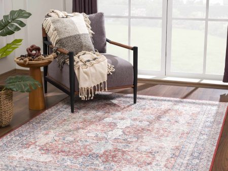 Boutique Rugs - Ambre Washable Area Rug Online now