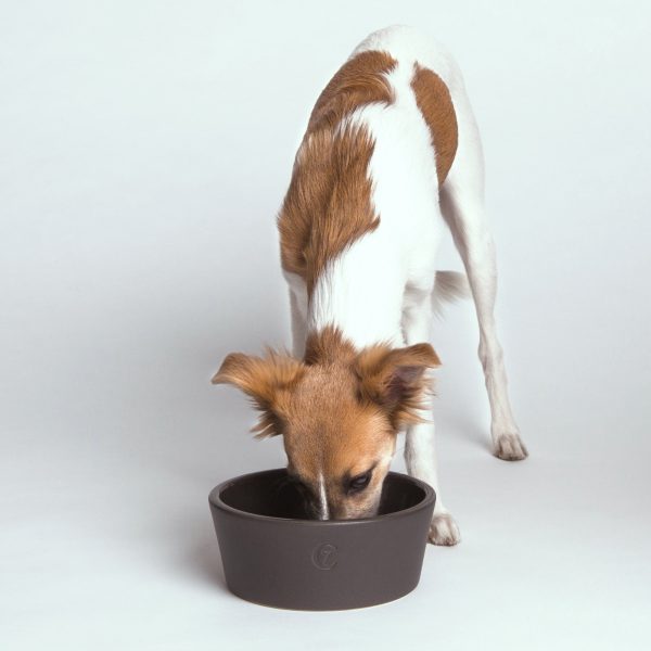 Cloud7 Dog Food and Water Oliver Bowl, Graphite Supply