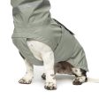 Cloud7 Hamburg Dog Rain Coat in Thyme Green Online Sale