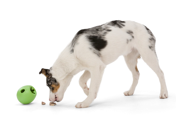 Interactive puzzle, food-dispensing dog toy, Zogoflex Echo Rumbl Online