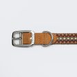 Cloud7: Prater Dog Collar in Sunset Online