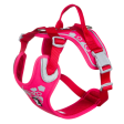 Hurtta Dog Harness: Weekend Warrior, Ruby For Cheap