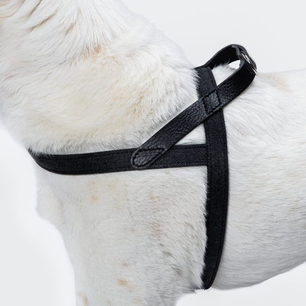 Cloud7: Tivoli Dog Harness in Canvas Leather, Black For Discount