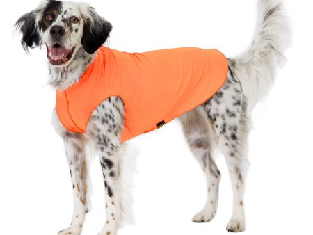 Sun Shield Tee shirts for Dogs and Cats, in Neon Orange Online now