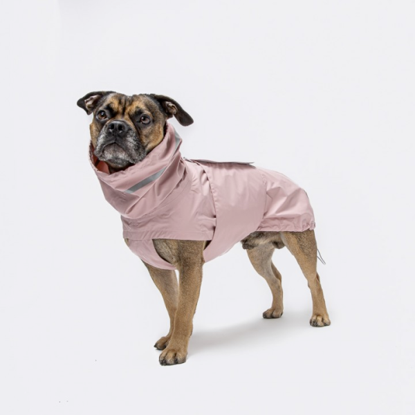 Cloud7 Hamburg Dog Rain Coat in Candy Online now