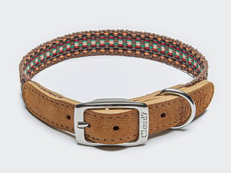 Cloud7: Prater Dog Collar in Sunset Online