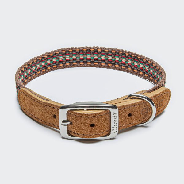 Cloud7: Prater Dog Collar in Sunset Online