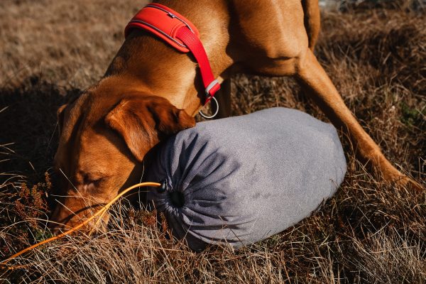 Hurtta Outdoor Dog Sleeping Bag: Outback Dreamer Eco Online