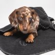 Cloud7 Dog Blanket, Soft Fleece Dark Grey Online Hot Sale