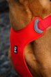 Hurtta Dog Harness: Weekend Warrior Eco, Hedge Online