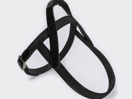 Cloud7: Tivoli Dog Harness in Canvas Leather, Black For Discount