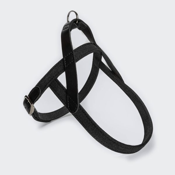 Cloud7: Tivoli Dog Harness in Canvas Leather, Black For Discount