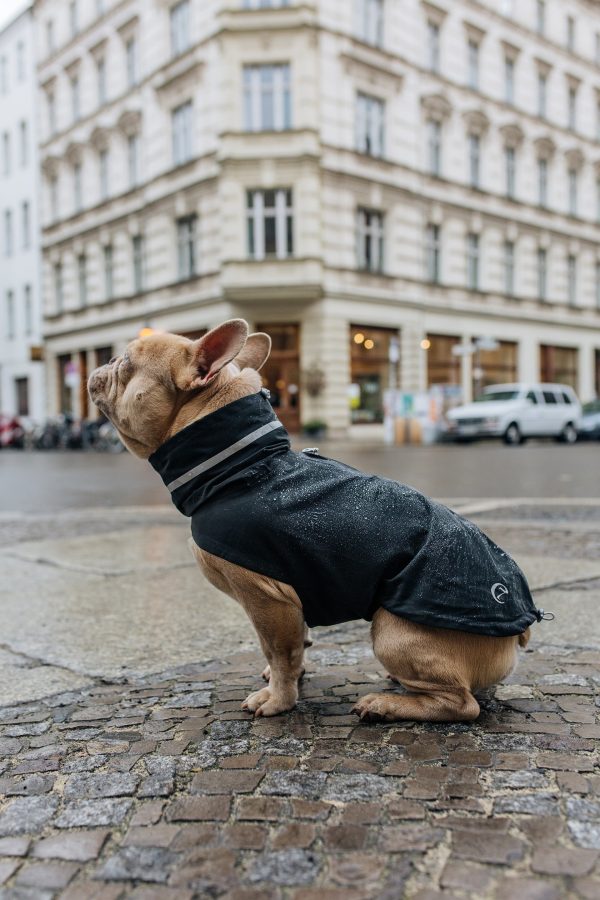 Cloud7 Dublin Dog Rain Coat, Slate Online Sale