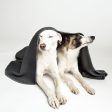 Cloud7 Dog Blanket, Soft Fleece Dark Grey Online Hot Sale