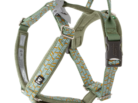 Hurtta Dog Y-Harness: Razzle Dazzle, Hedge Sale