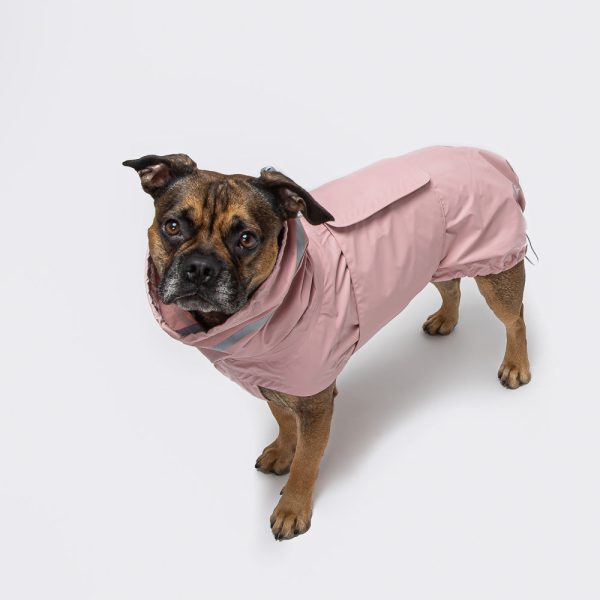 Cloud7 Hamburg Dog Rain Coat in Candy Online now