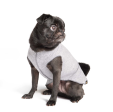 Sun Shield Tee shirts for Dogs and Cats, in Pebble For Discount