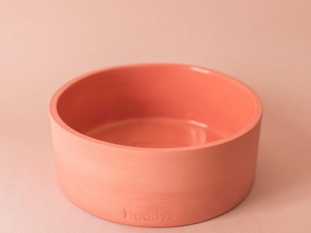 Buddy Dog Food and Water Bowl, Coral Medium Hot on Sale